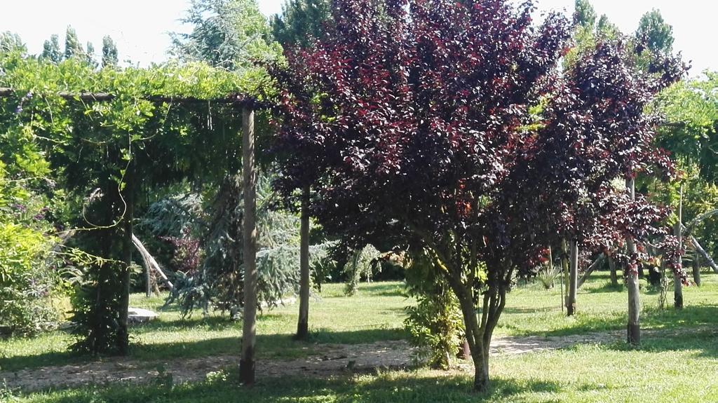 Villa Tenuta Le Pantanelle à Sezze Extérieur photo