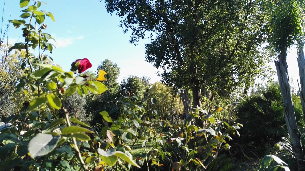 Villa Tenuta Le Pantanelle à Sezze Extérieur photo